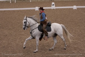 Lusitano Breed Society of Great Britain Show - Hartpury College - 27th June 2009